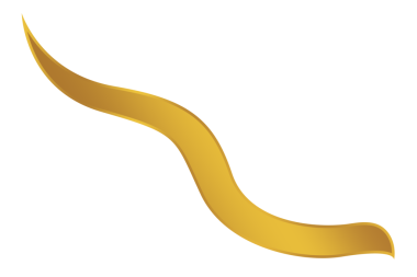 Lüks altın element eğrisi şablon tasarım png dosyası şeffaf