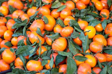 Bulk tangerines for sale in the market