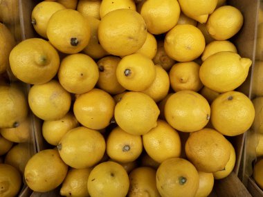 Piyasada satılık limonlar.
