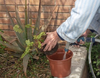 Bahçede çalışacağım, baharda nakil yapacağım.