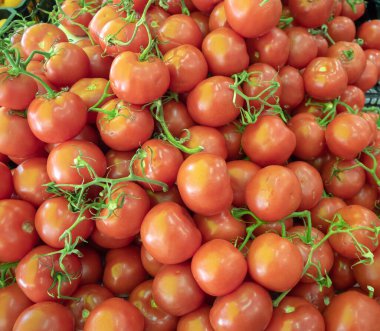 Toptan sarmaşık domatesleri pazarda satılıyor.