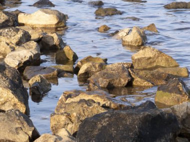 Denizde kayalar gizemli bir topluluk oluşturuyor.