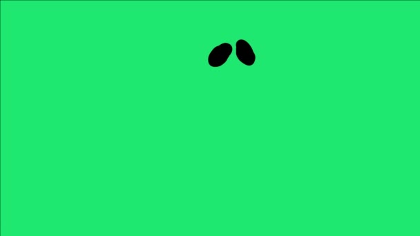 Animación Efecto Pantalla Verde Fuegos Artificiales Negros Con Brillo Amor — Vídeo de stock