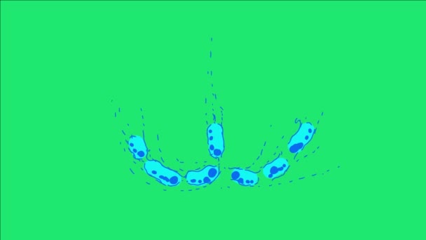 Капля Воды Анимация Зеленый Экран Эффект Видео Перфект Отснятого Материала — стоковое видео