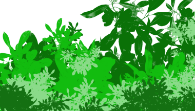 Yeşillik ve yemyeşil, tropikal yeşillik, doğa ve sağlıkla ilgili projeler için mükemmel.