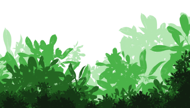 Yeşillik ve yemyeşil, tropikal yeşillik, doğa ve sağlıkla ilgili projeler için mükemmel.