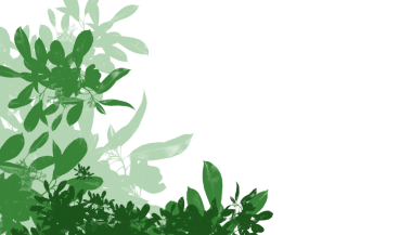 Yeşillik ve yemyeşil, tropikal yeşillik, doğa ve sağlıkla ilgili projeler için mükemmel.