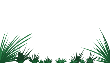 Yeşillik dolu doğal bir zemin, doğa ve tazelikle ilgili projeler için mükemmel.