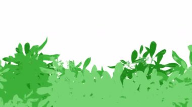 Beyaz arka planda hareket eden çimlerin ya da çalıların çizgi film animasyonu