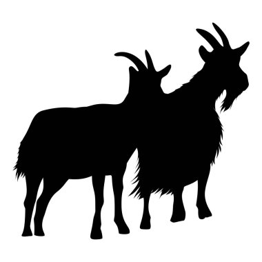 İki keçi yan yana duruyor, siluetleri siyaha boyanmış beyaz bir zemin üzerinde, vahşi yaşam ve hayvan temalı tasarımlar için ideal minimalist ve grafik bir görüntü yaratıyorlar..