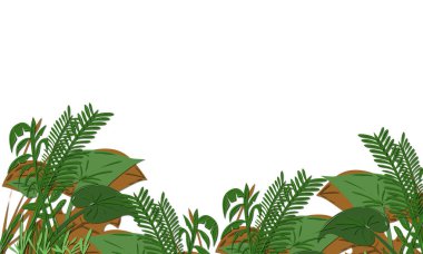 Bereketli yeşil tropikal bitkiler ve yapraklar beyaz bir arkaplan ile resimli bir sınırda düzenlenir, temiz doğadan esinlenilmiş bir tasarım elementi sunar arka plan ve yaratıcı projeler için mükemmeldir.