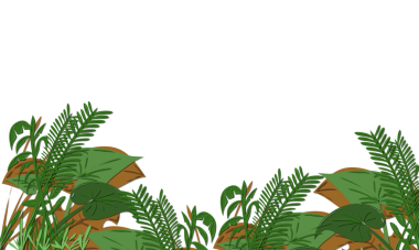 Geniş yaprakları ve eğreltiotu ile yemyeşil bitki örtüsü şeffaf bir arkaplan sınırında, grafik tasarım ve web tasarım projeleri için ideal, doğal ve canlı bir tasarım unsuru oluşturur..