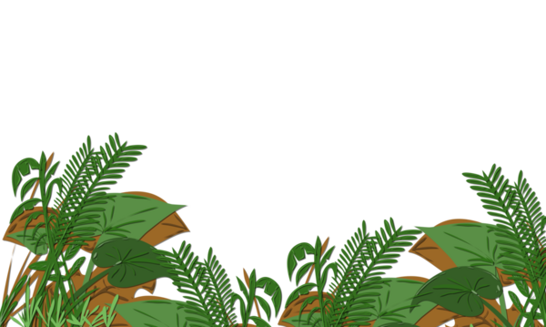 Geniş yaprakları ve eğreltiotu ile yemyeşil bitki örtüsü şeffaf bir arkaplan sınırında, grafik tasarım ve web tasarım projeleri için ideal, doğal ve canlı bir tasarım unsuru oluşturur..