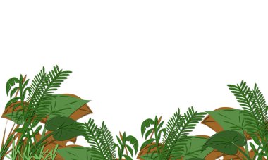 Bereketli yeşil tropikal bitkiler ve yapraklar beyaz bir arkaplan ile resimli bir sınırda düzenlenir, temiz doğadan esinlenilmiş bir tasarım elementi sunar arka plan ve yaratıcı projeler için mükemmeldir.