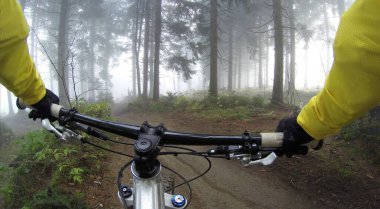 Cyclist in a misty woods.  A man ride bike ialong the road in both side   forest difference trees  clipart