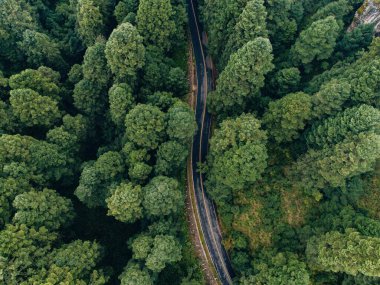 Tek yol yükseklerde çok küçük, orman, kayaların, ağaçların, yolların çevresindeki yeşil, 