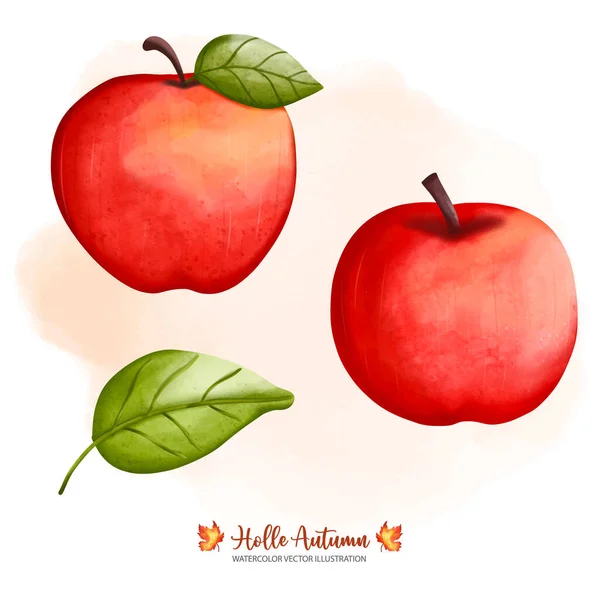 Czerwone Jabłko Akwarela Jesień Lub Jesień Zwierząt Wystrój Cyfrowa Farba — Wektor stockowy