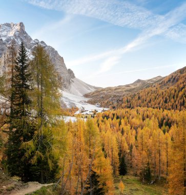 Val Venegia 'nın sonbahar manzarası, Dolomitler, Pale di San Martino