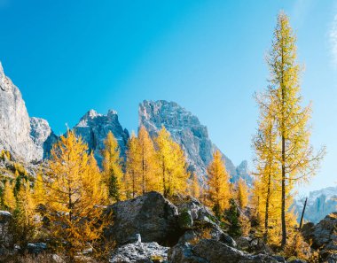 Val Venegia 'nın sonbahar manzarası, Dolomitler, Pale di San Martino