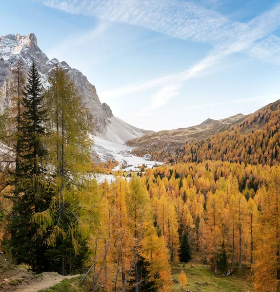 Val Venegia Dolomitok Pale San Martino Őszi Panorámája — Stock Fotó