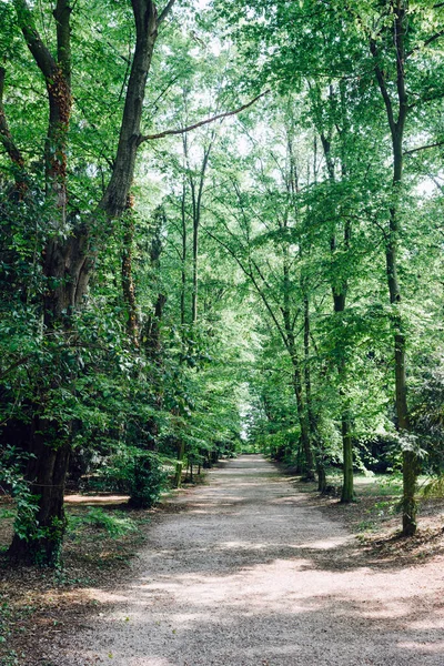 Fanzolo Treviso Italy Park Villa Emo Tree Lined Path — 图库照片
