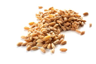 Yazılan tanecikler beyaz arkaplanda izole