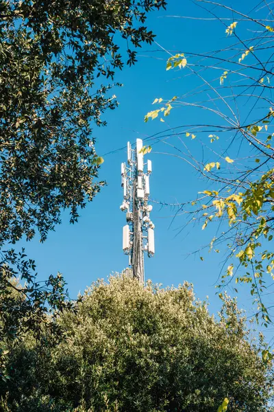 Telefonantenne Zwischen Den Bäumen Signalrepeater Stockbild