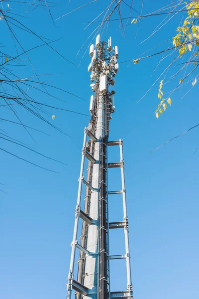 Antena Telepon Antara Pepohonan Pengulang Sinyal Stok Foto Bebas Royalti