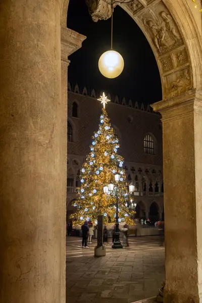 Венеція Італія Різдвяна Ялинка Вогнями Площі Сан Марко Увечері Стокове Фото