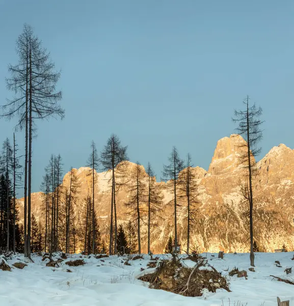 Dolomites Italy Panorama Pale San Martino Late Afternoon Light Winter Stock Photo