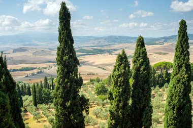 Pienza, Siena İtalya - 21 Ağustos 2024: Val D 'Orcia' daki Pienza tepelerinin panoraması