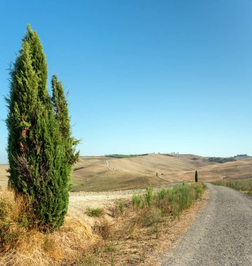 San Quirico D 'Orcia, Siena İtalya - Valle D' Orcia tepelerindeki beyaz yol