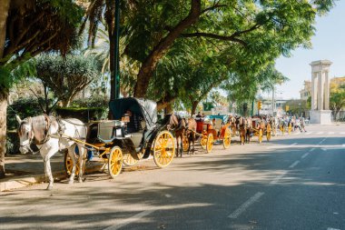 Malaga Endülüs, İspanya - 26 Şubat 2025: Sokak boyunca turistleri bekleyen at arabaları