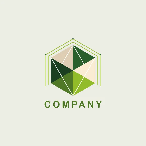 Empresa Logotipo Ícone Elemento Modelo Cubo Poligonal Vetor Ilustração — Vetor de Stock