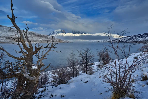 Paisaje Invernal Moutains Patagonia Con Nieve Lago Nordenskjold Parque Nacional — Foto de Stock