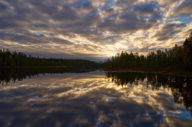 Evening in taiga. Lake with forest and blue twilight sky. Landscape from north of Europe, Kuhmo in Finland. Trees in forest, Finland, Europe.