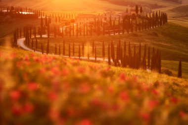 Tuscany 'de manzara, Siana ve Pienza yakınlarında, İtalya' da gün doğumu sabahı. Tuscany 'deki tepecikli çayır manzaralı güzel bir sabah ışığında, İtalya. Doğada sisli sabah.