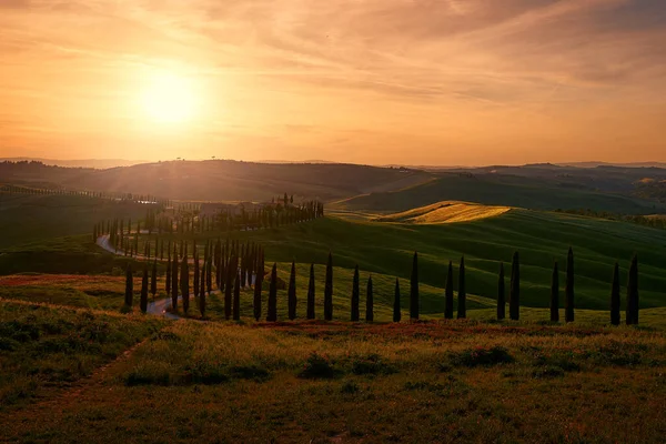 Пейзаж Тоскані Недалеко Від Сіани Пьєнца Світанок Схід Італії Ідилічний — стокове фото