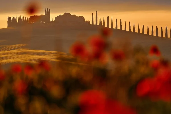 Przyroda Włoch Widok Typowy Krajobraz Toskanii Miasto Wzgórzami Podczas Pomarańczowego — Zdjęcie stockowe