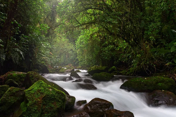 コスタリカの川の風景 ヴェラ ブランカ山の近くのラパスの滝 コスタリカの緑豊かな熱帯雨林 自然の中で雨の日 中米での旅行 — ストック写真