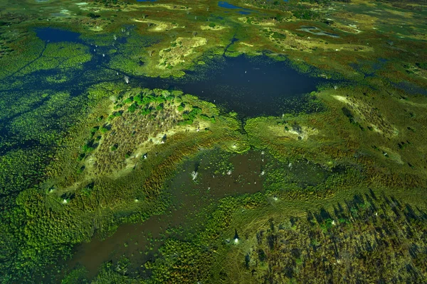Paisagem Aérea Okavango Delta Botsuana Lagos Rios Vista Avião Vegetação — Fotografia de Stock