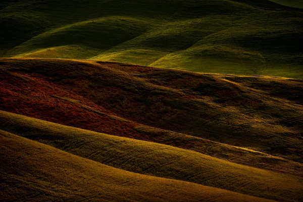 Krajobraz Toskanii Pobliżu Siana Pienza Wschód Słońca Włoszech Idylliczny Widok — Zdjęcie stockowe