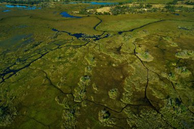 Afrika hava manzarası, yeşil nehir, Botswana 'daki Okavango deltası. Göller ve nehirler, uçaktan manzara. Orman. Güney Afrika 'da bitki örtüsü. Yağmurlu mevsimde suyu olan ağaçlar. Botsvana 'da Seyahat.