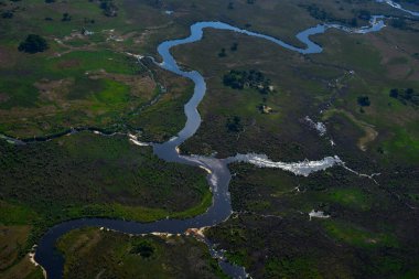 Yeşil Afrika. Afrika hava manzarası, yeşil nehir, Botswana 'daki Okavango deltası. Göller ve nehirler, uçaktan manzara. Orman. Güney Afrika 'da bitki örtüsü. Yağmurlu mevsimde suyu olan ağaçlar. Seyahat.