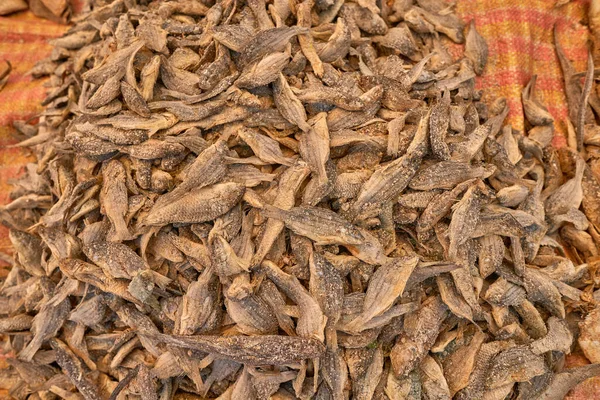 马达加斯加鱼市场 非洲旅游 关于河马的特写马达加斯加塔那那利佛市市场上的咸鱼干 — 图库照片