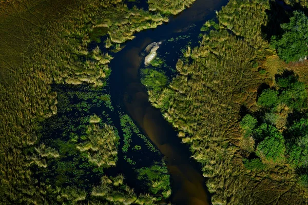 非洲空中景观 博茨瓦纳奥卡万戈三角洲 湖泊和河流 从飞机上看 南非的植被 雨季浇水的树 在博茨瓦纳的旅行 — 图库照片