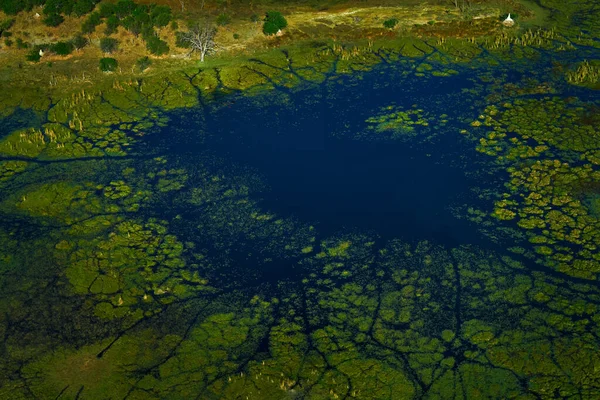 Afrika Luchtlandschap Groene Rivier Okavango Delta Botswana Meren Rivieren Uitzicht — Stockfoto