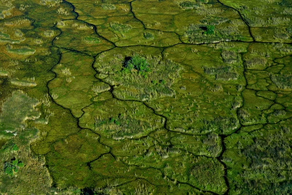 Africa Aerial Landscape Green River Okavango Delta Botswana Lakes Rivers — Stock Photo, Image