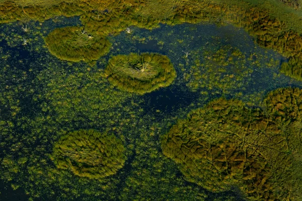 아프리카 보츠와나의 오카방고 호수와 비행기에서 숲이요 남아프리카 공화국의 계절에 보츠와나 — 스톡 사진
