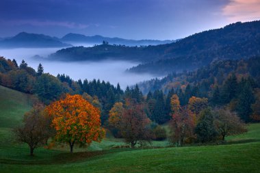 Manzara Slovenya, Avrupa'nın doğa. Sisli Triglav Alpler ile orman, Slovenya'da seyahat. Mavi gökyüzü, yeşil doğa ile güzel gündoğumu.